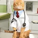 Dr. Morris
