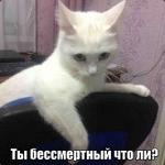 FiFaNcHiK