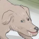 8D