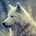 Wolfi_53