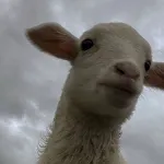 (^_^)
