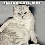 m0NESY