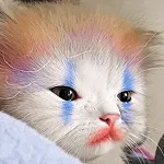 ПОШЛАЯ МОЛЬ