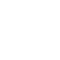 DayZ